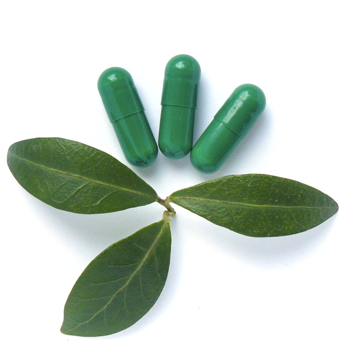 green_leaf_natural_drug